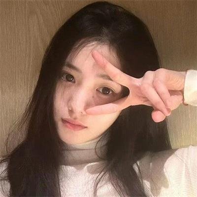 狐及其友